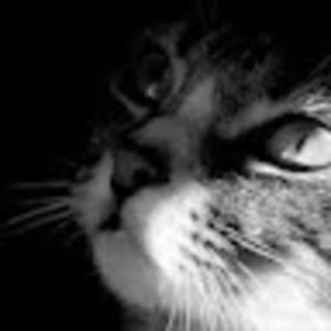 Meet your Posher, Genevieve